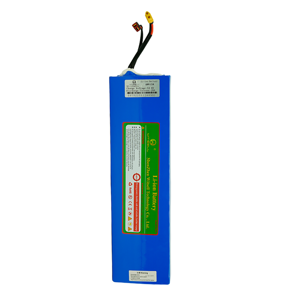 WITSELL 48V 15Ah Li-ion Battery Pack – 250–500W E-Bike Battery with 20A BMS