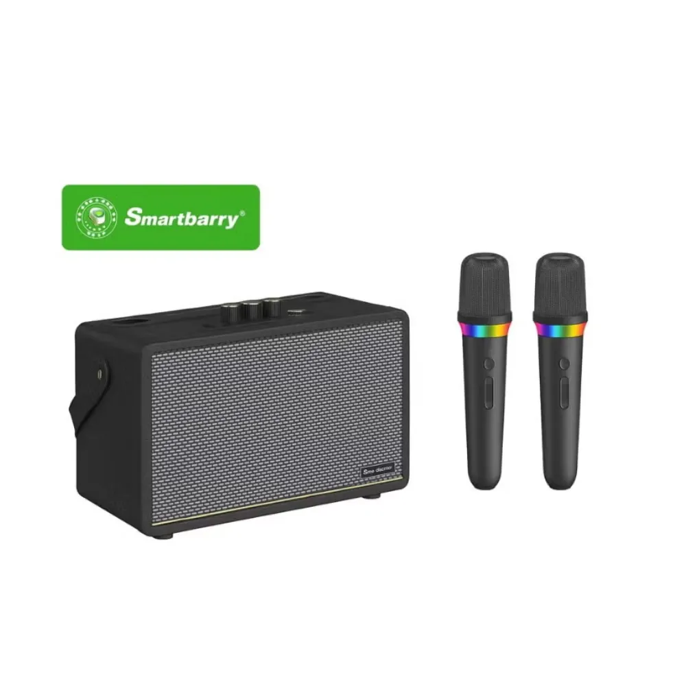Smartbarry Portable Bluetooth Karaoke Speaker with Dual Wireless Microphones Rechargeable Battery Party System Black M91