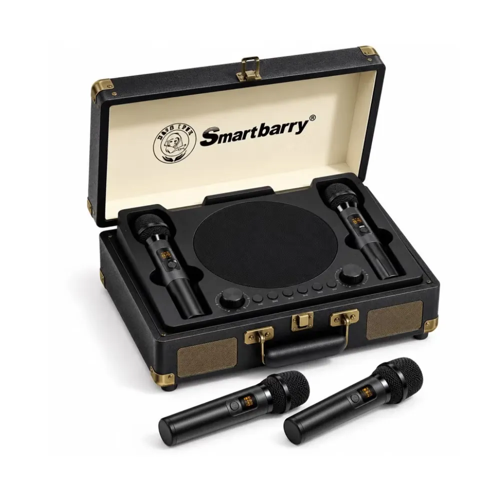 Smartbarry SW01 Plus Portable Suitcase Bluetooth Karaoke Speaker with 2 Wireless Microphones, Powerful Sound, USB & TF Card Playback, Rechargeable Battery, Retro Suitcase Design – Black